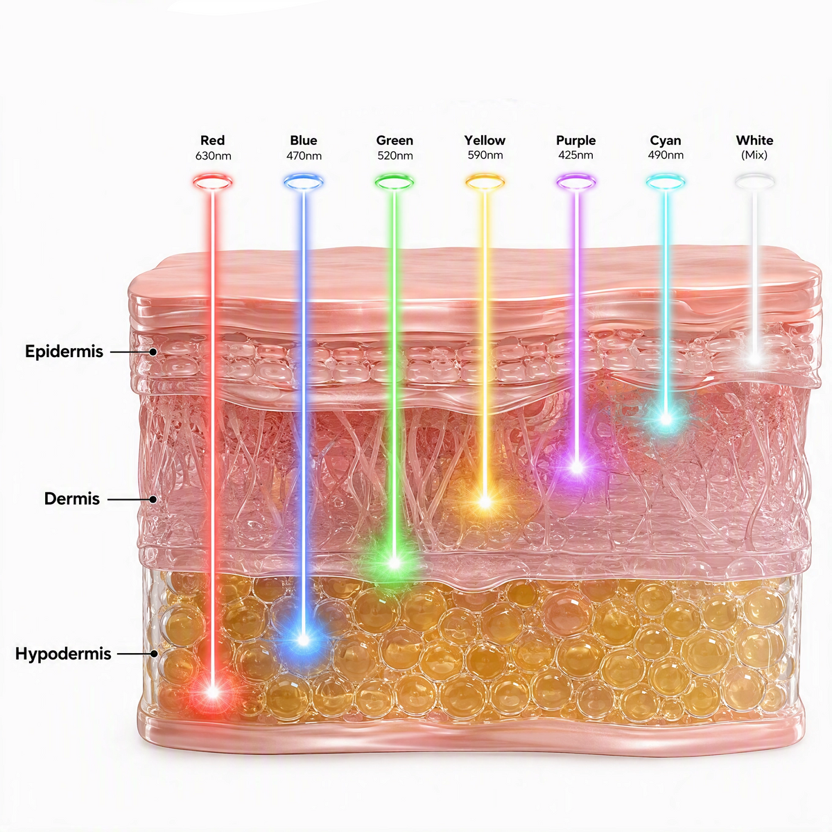 An infographic diagram of a skin cross-section with seven colored LED light beams labeled Red, Blue, Green, Yellow, Purple, Cyan, and White, showing wavelengths and penetration depths. Text at the top reads '7 LED Light Wavelengths.